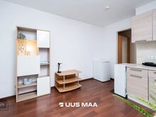 Uus pakkumine! Stuudiokorter vaatega rohelusse. Meri lähedal!
