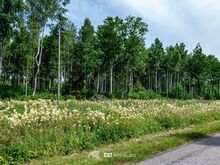 Ehitusvõimalusega kinnistu merest 2,5 km