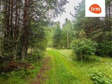 Looduslikult kaunis kinnistu Peipsi ligidal!