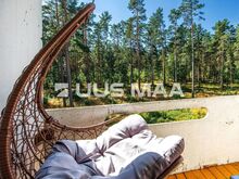 Vaade männimetsa mõlemast magamistoast!