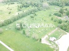 Müüa 1,4 ha maatulundusmaa Ruila külas