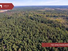 Müüa 13,5 ha metsamajanduslik kinnistu Saaremaal.