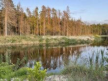 Eksklusiivne oma järvega kinnistu Rooslepas!