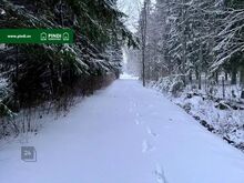 Rannaga piirnev elamumaa kinnistu Narva-Jõesuu linnas