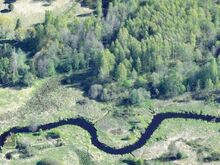 Müüa metsakinnistu – 5,05 ha