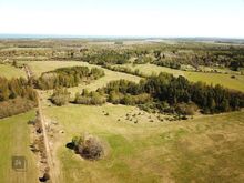 1,7 ha kaunist Muhu loodust!