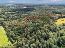 Müüa privaatsed segametsaga krundid Tallinast 22km