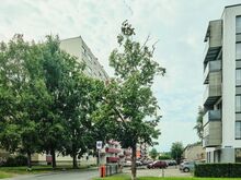 Väga hea vaikne asukoht Marja kaupluse vastas, kinnine roheline hoov tõkkepuuga, mugav parkimine, 