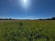 Merelähedane ehitusloa ja elektriga elamumaa