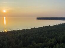 Mereäärne kinnistu liivarannal ja männimetsa all