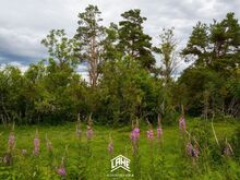 Müüa ilus kinnistu Kaarma külas!