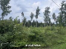Suur projekteerimistingimustega kinnistu kodu rajamiseks!