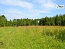 Vana talukoht Kose vallas Lutsu külas