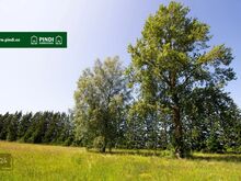 Müüa suur, hoonestamata kinnistu Noarootsi poolsaarel