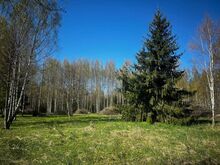 Avar kinnistu looduskaunis piirkonnas.