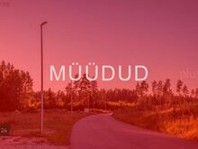 Suur metsaäärne elamukrunt