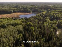 Kesk metsikut Võrumaa loodust ehitusõigus! Järv, 50.13ha
