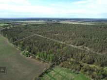 Männimetsaga maa! Võimalus osta 44113m² juurde