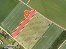 Müüa 1,7 ha kinnistu Saadjärve külas