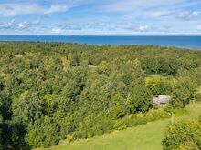 Vana talukoht metsa sees, linnulennult 550m merest