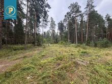 KUURORTLINNAS HEA HINNAGA MAATÜKID MÜÜGIS