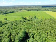 Kinnistu Põltsamaa jõe kaldal
