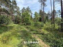 Elamumaa Vasalemma looduskaunis elukeskkonnas