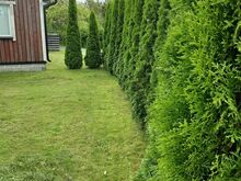 Suvila Tammistes/Pärnus