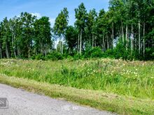 Ehitusvõimalusega kinnistu merest 2,5 km