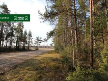 Ilusa männimetsaga kinnistu