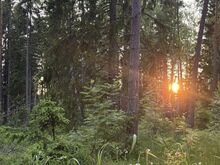 Eksklusiivne oma järvega kinnistu Rooslepas!