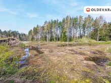 Elamumaa perspektiiviga krunt Salmistus