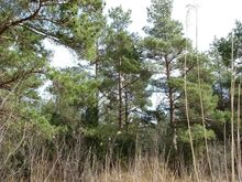 Mere äärde ja merele on olemas avalik otsepääs, kus on Vanaluubi paadilauter, väike ujumisrand 
