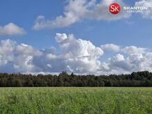Metsamaa ja põllumaa