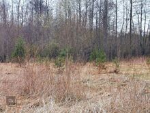 Soodsa hinnaga jagamise võimalusega kinnistu