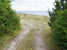 merepiiriga kinnistu Vormsil