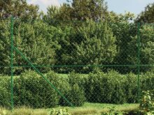 vidaXL võrkaed vaiadega, roheline, 1,4 x 25 m