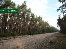 Ilusa männimetsaga kinnistu