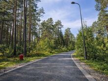Müüa elamumaa kõrghaljastusega männimetsade keskel