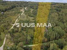 Müüa 6,9 ha metsakinnistu Letipea külas / Metsamajandamiskava!