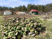 Merelähedane aiamaa väikese aiamajakesega Vokas!