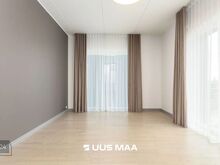 Kõrged laed, suured aknad