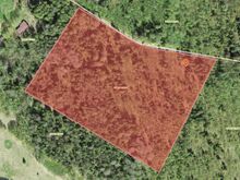 4,5 ha suurune kinnistu Kuusalu vallas