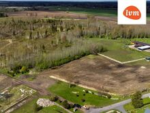 Piisavalt suur kodukrunt oma metsaga nüüd müügis