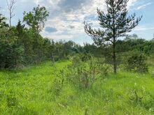 Kinnistud Haapsalu lähedal