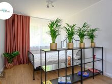 Hubane, 1-toaline pesa on  üürniku ootel!