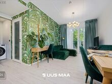Üks väga ilus ja valgusküllane kodu Telliskivis otsib uusi üürilisi!



Korter on sissekolimise
