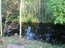 Müüa ägeda kujuga, 2 naabriga jüriöö kinnistu
