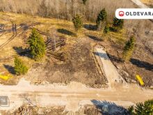 Päikesekivi: Elu looduse ja melu vahel