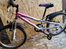 Jalgratas-laste ratas Classic Princessa 20"